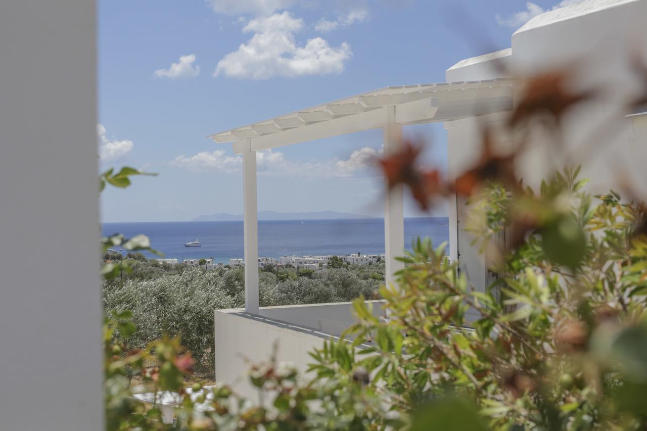 Ktima Vrisiana Apartment Platis Gialos  Exterior photo